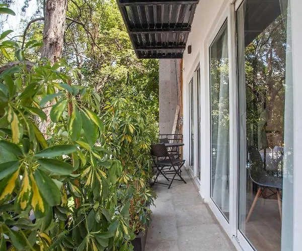 Apartment Bright & Sweet Unit In The Heart Of Polanco.